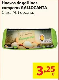 camperos - Huevos De Gallinas Camperas