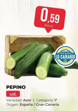 origen - Pepino
