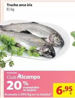 Trucha Arco Iris