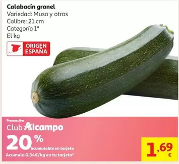 Calabacin Granel
