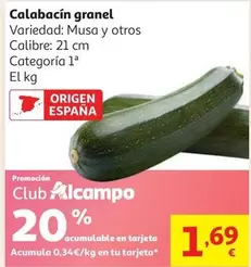 Calabacin Granel