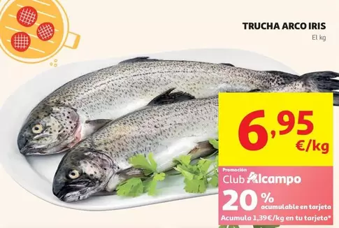 Trucha Arco Iris