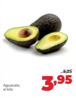 Aguacate