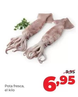 Pota Fresca