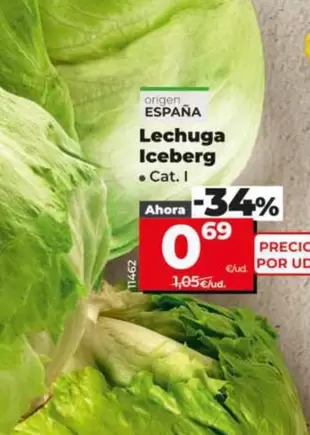 Lechuga Iceberg