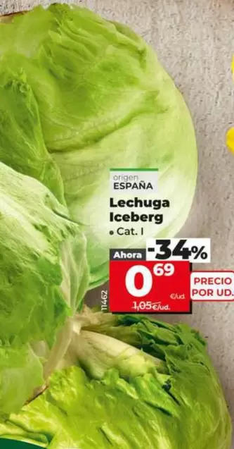 Lechuga Iceberg