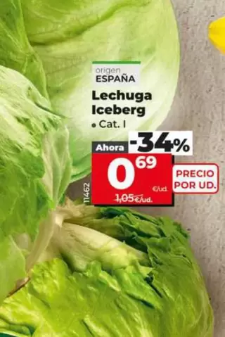 Lechuga Iceberg