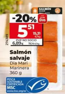 Dia Mari Marinera - Salmon Salvaje