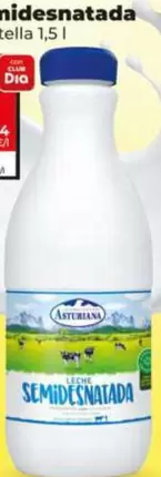 La Asturiana - Leche Semidesnatada