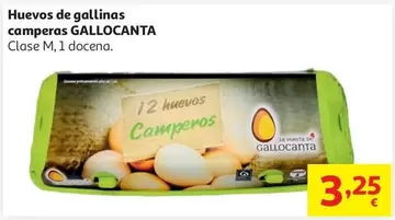 Huevo Gallinas Camperas M Gallocanta 1 DOC