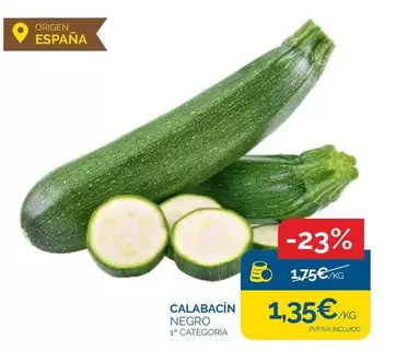 origen - Calabacin Negro
