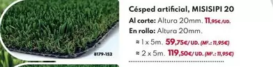 Cêsped Artificial, Misisipi 20