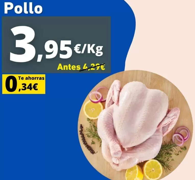 Pollo