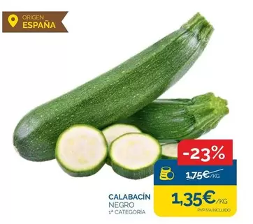 Calabacin Negro