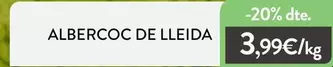 Albercoc De Lleida