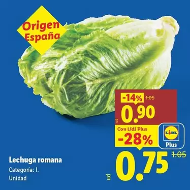 Lechuga Romana