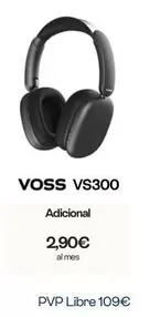 Vs300