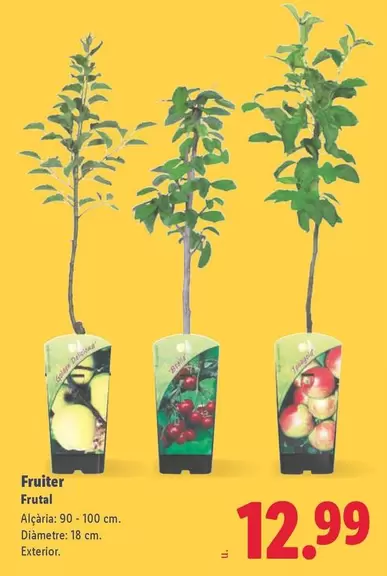 Fruiter - Frutal