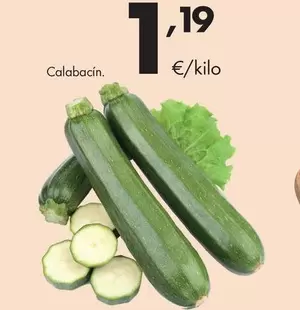 Calabacin