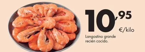 Langostino Grande Recién Cocido