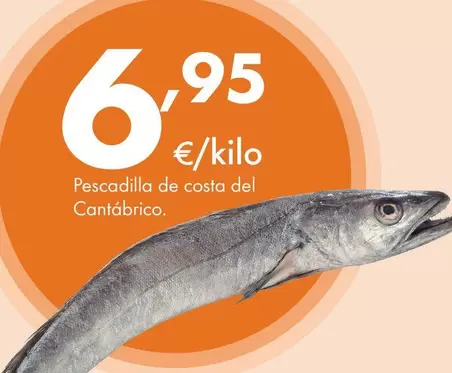 Pescadilla De Costa Del Cantábrico