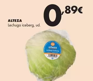 Alteza - Lechuga Iceberg