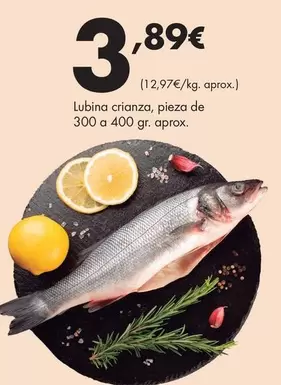 Lubina Crianza