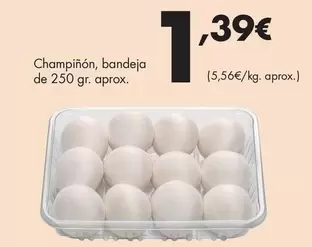 Champiñón