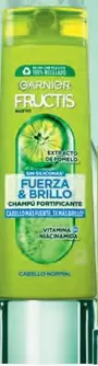 Garnier - Champú Fructis
