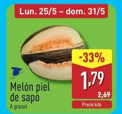 Melon Piel De Sapo