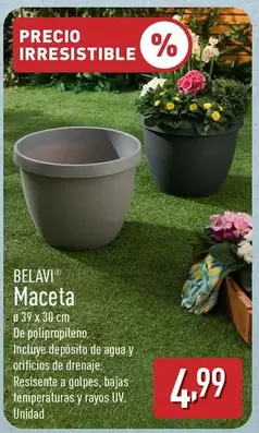 Belavi - Maceta