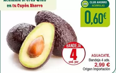 origen - Aguacate