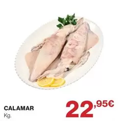 Calamar