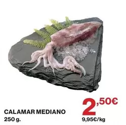 Calamar Mediano