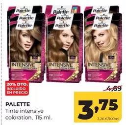 Palette - Tinte Intensive Coloration
