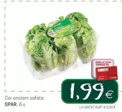 Spar - Cor Enciam