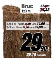 Bruc