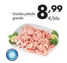 Gamba Pelada Grande