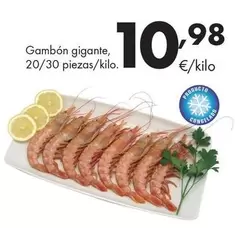 Gambón Gigante