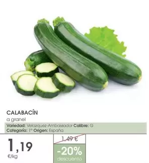 origen - Calabacin