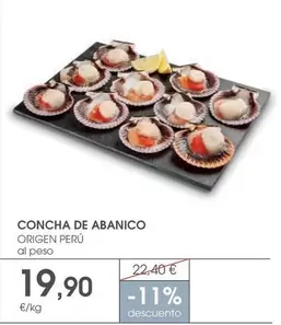 origen - Concha De Abanico