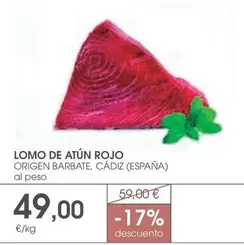 origen - Lomo De Atún Rojo