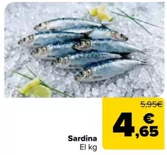 Sardina