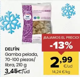 Delfín - Gamba Pelada