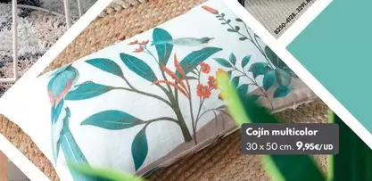 Cojín Multicolor