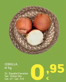 Cebolla