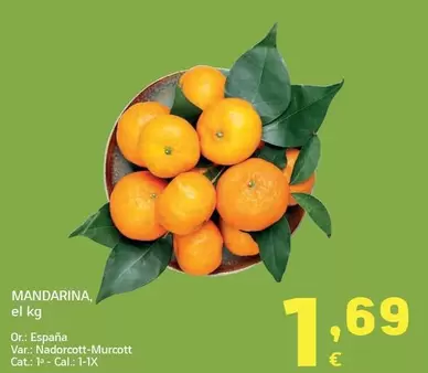 Mandarina