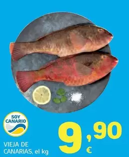 Vieja De Canarias