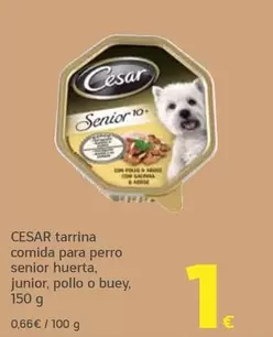 Cesar - Tarrina Comida Para Perro Senior Huerta, Junior, Pollo O Buey