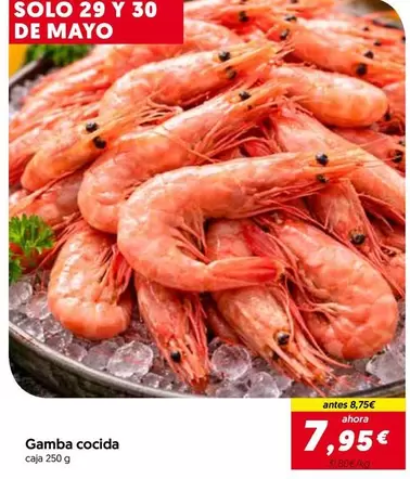 Solo - Gamba Cocida